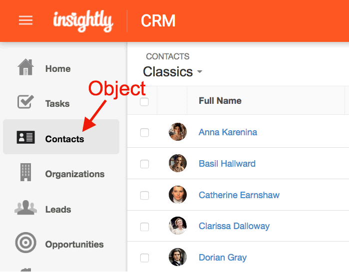 Screenshot of Contact area within Insightly CRM software.